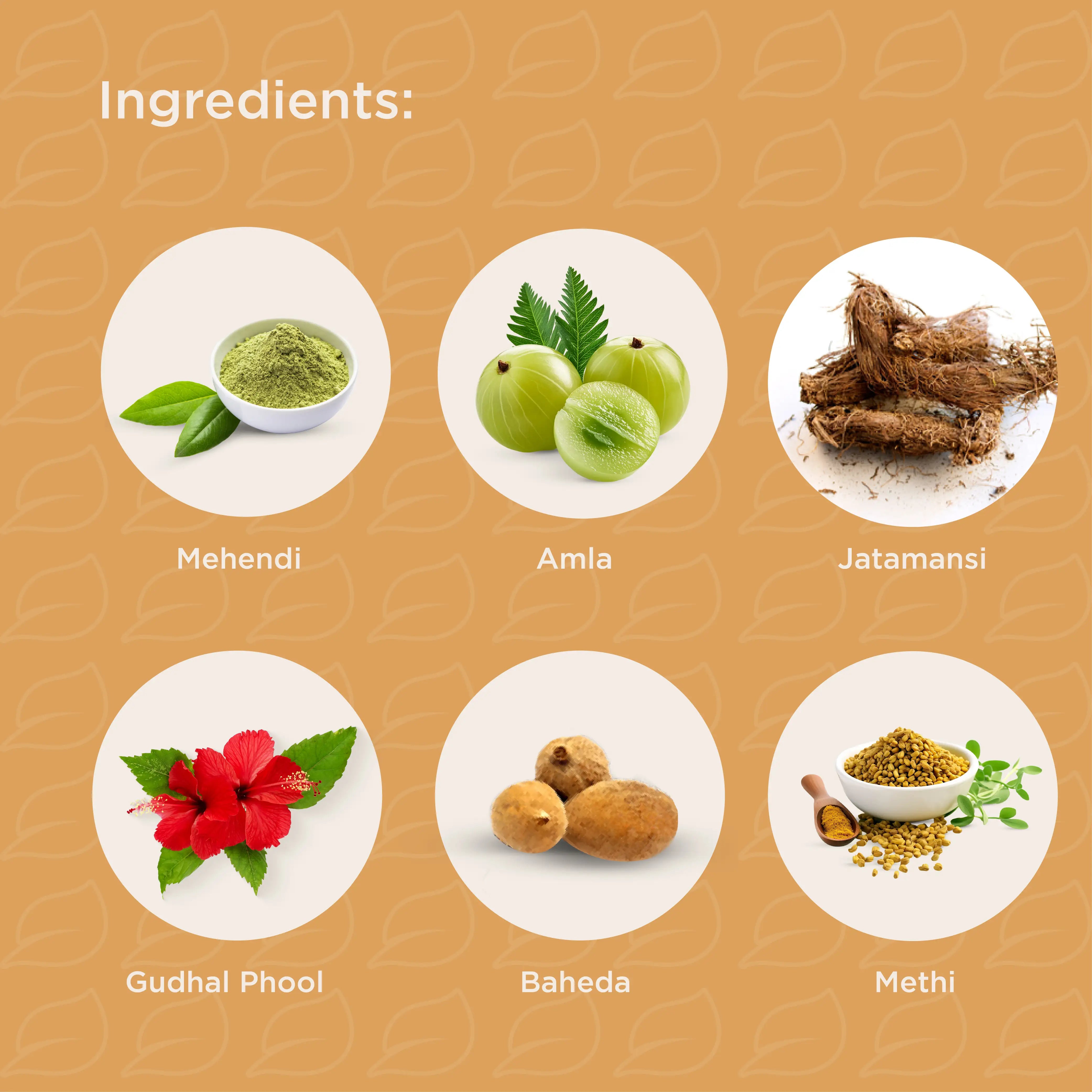 Chandraboti Hair Root 100ML