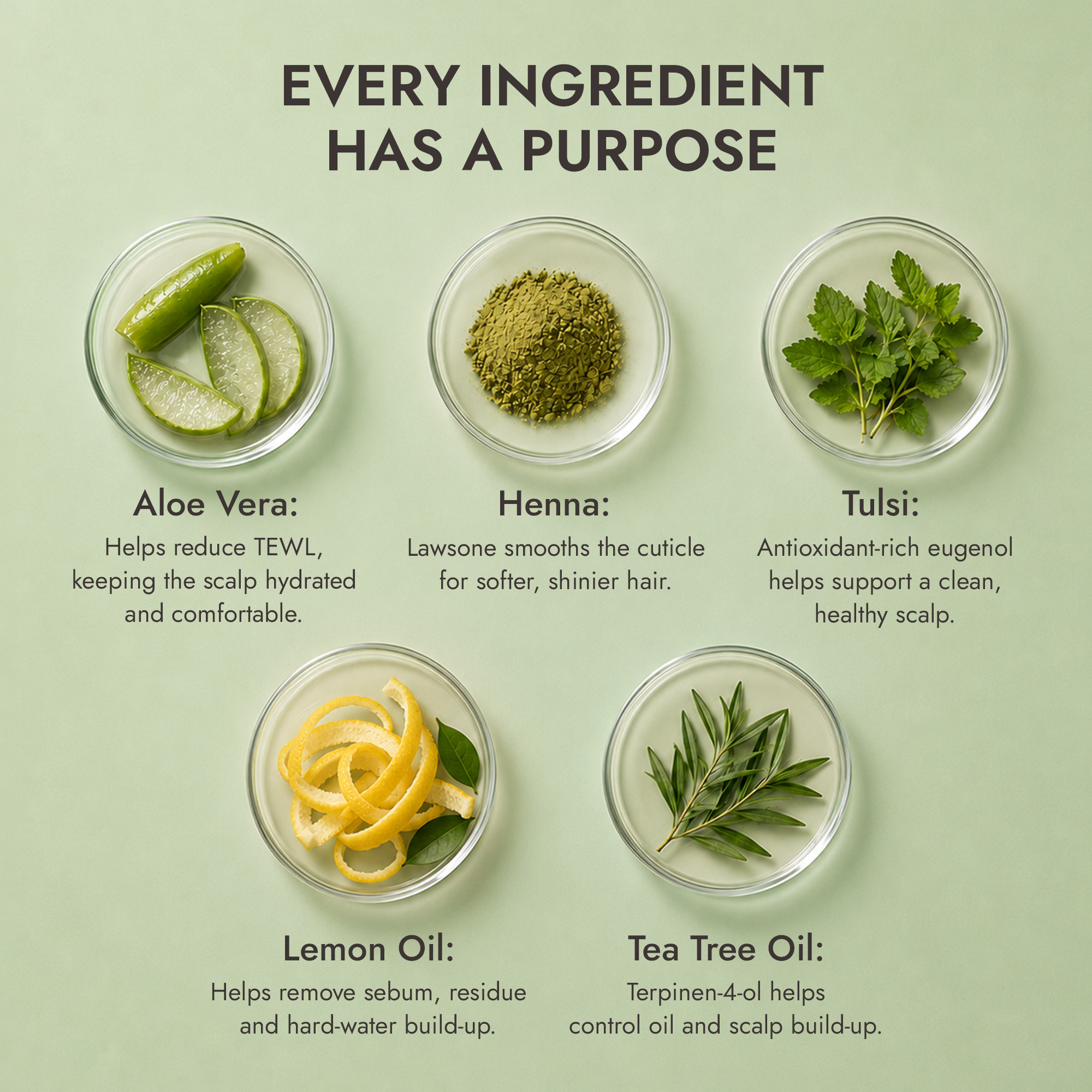 Aloe Vera Shampoo
