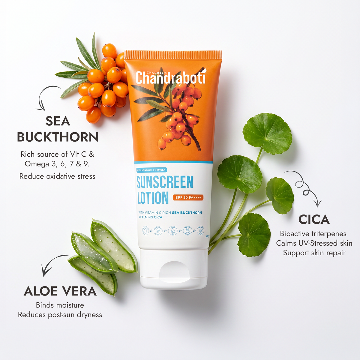 Sunscreen Lotion SPF 50 PA++++