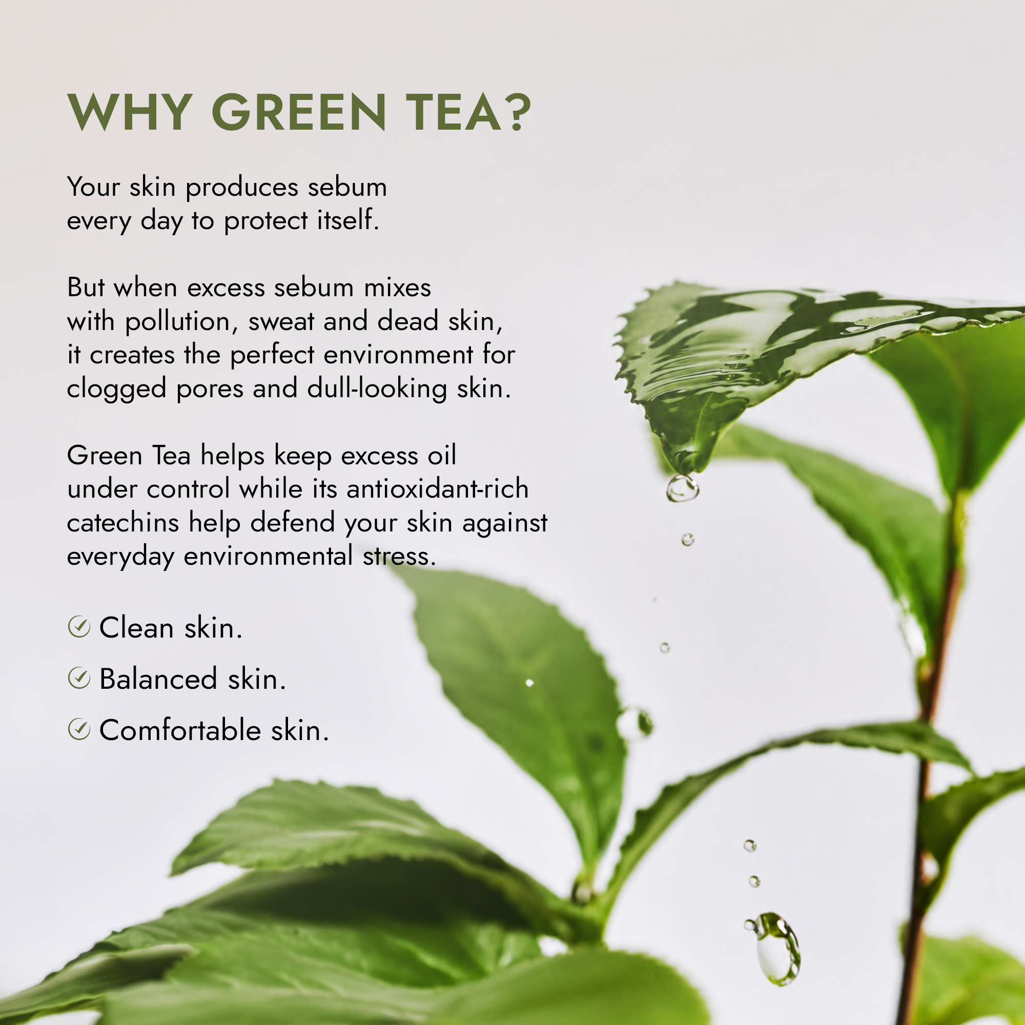 Chandraboti Green Tea Face Wash 120gm