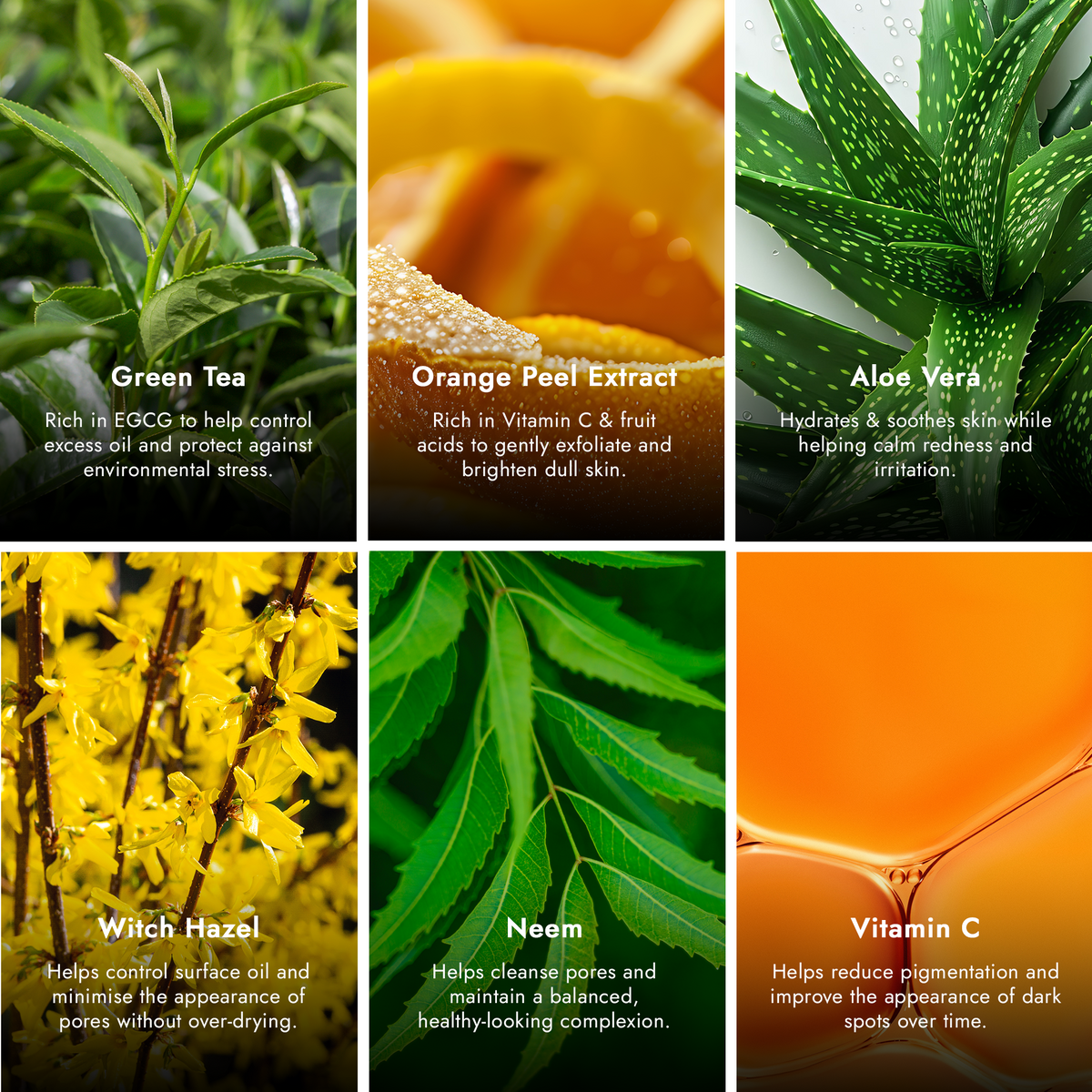 Green Tea Face Wash