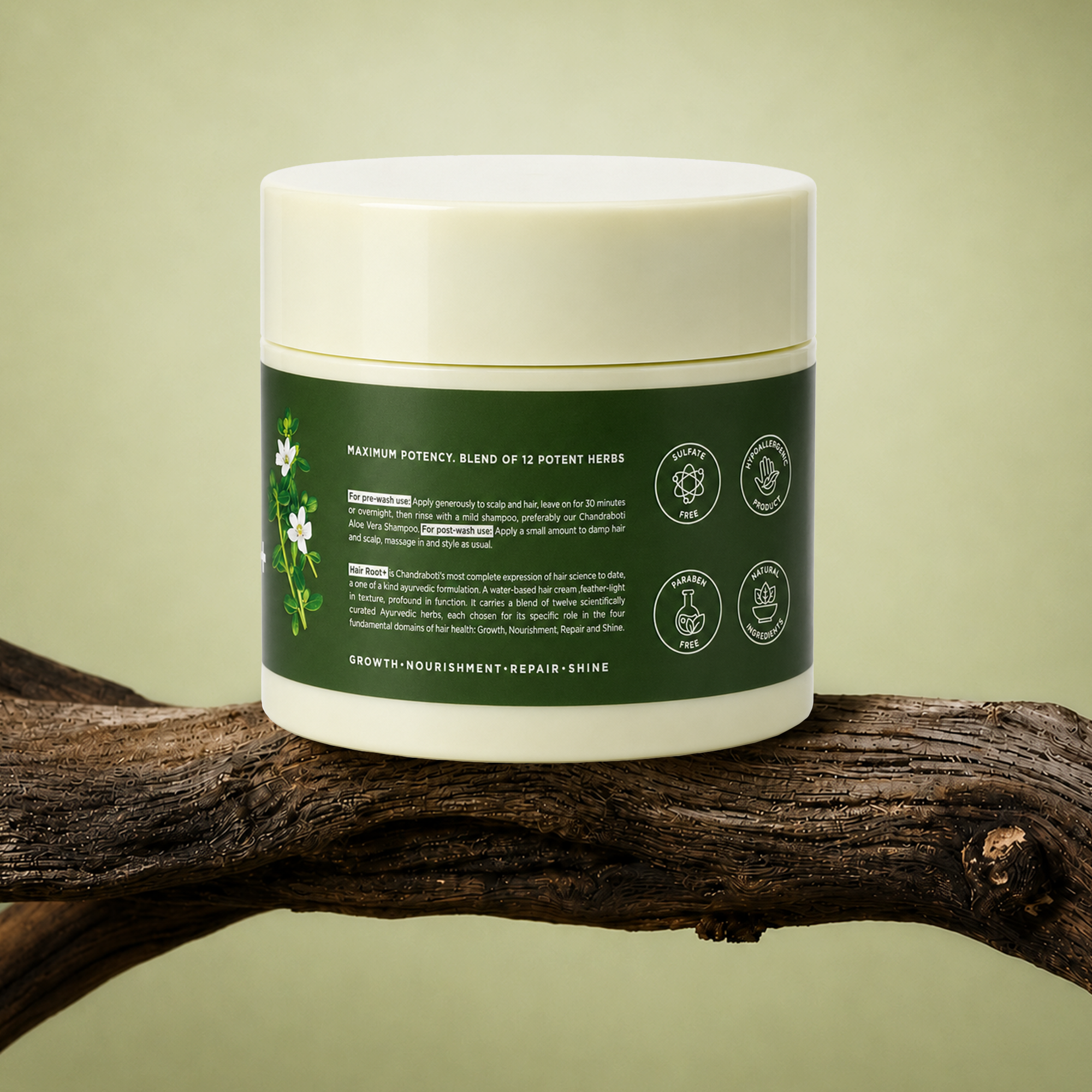 Hair Root