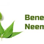 Benefits of Neem and Tulsi