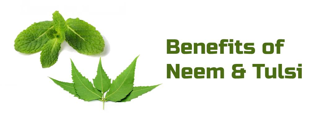 Read more about the article Benefits of Neem and Tulsi